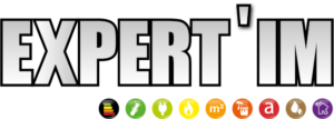 EXPERT-IM